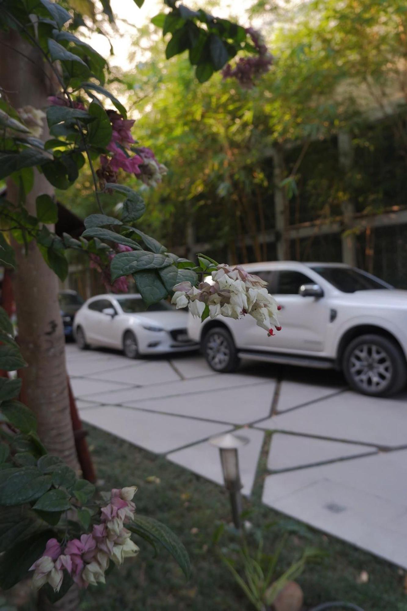 Tuong VI Hotel Χάι Φονγκ Εξωτερικό φωτογραφία